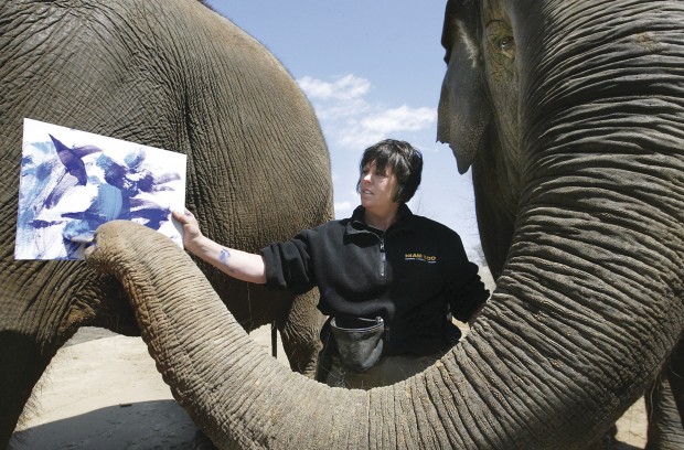 Niabi Zoo Elephants